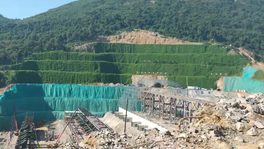 1641779638183143.jpg 11.jpg