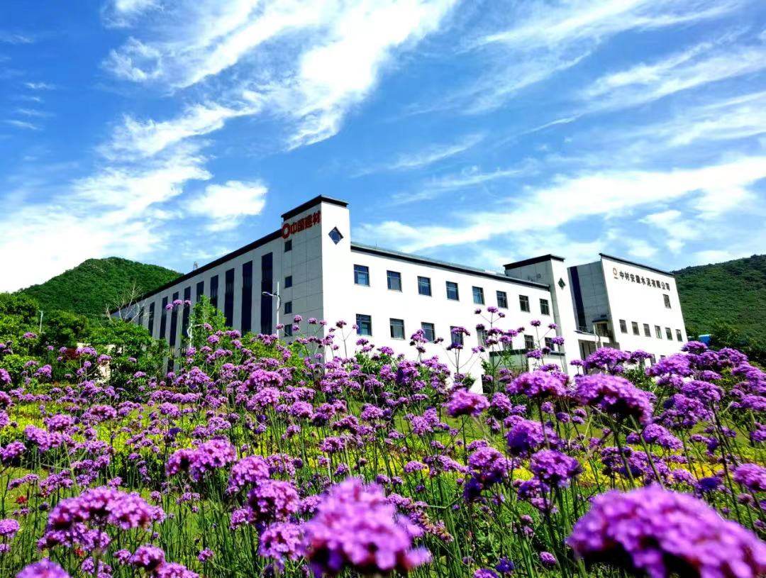 1647247142999585.jpg 8.jpg